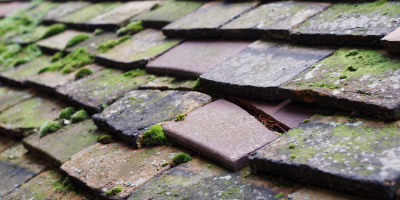 Llanfoist roof repair costs